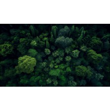 Greensea Kanvas Tablo