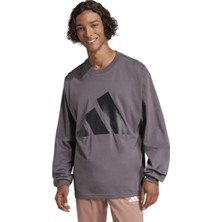 adidas Big Logo Sj Erkek Gri Yuvarlak Yaka Tişört