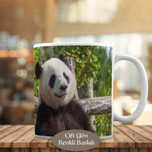 Asilmeydan Ormanda Mutlu Panda Baskılı Kupa Bardak HEDIYELIK-135179