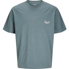 Jack & Jones Jorıslıngton Type Graphıc Back Tee Ss Cn Erkek Antrasit Tshirt 12273004-16