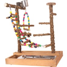 Shabebırd Small Papakeets I Parrot Bird Playground Play Sandalyası (Yurt Dışından)