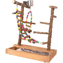 Shabebırd Small Papakeets I Parrot Bird Playground Play Sandalyası (Yurt Dışından)