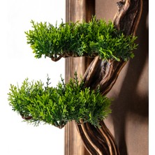 Timber Bonsai Tablaeu -1 - Masif Ahşap Çerçeveli 3 Boyutlu Yapay Ağaç Tablosu 33X60 cm