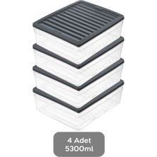 4'lü Derin Buzdolabı Organizer Set Düzenleyici Saklama Kabı Mikrodalga Difriz Kabı 5300ML