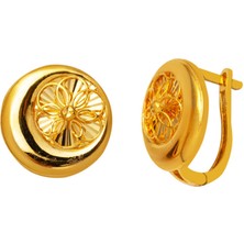 Bilezikci Hilal Model 22 Ayar Altın Kalemli Küpe