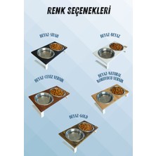 Kedi ve Köpekler Için Sağlıklı Yeme Standı, %10 Eğimli Tasarım ve Kaymaz Ayaklar