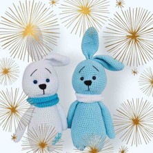 Mady Toyss Amigurami Sevimli Şapşik Tavşan Kardesler