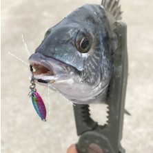 Rudies Rudie’s Gyoshi Metal Jig Yemi Chart Spot Glow