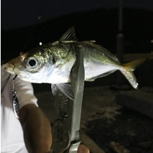 Rudies Rudie’s Gyoshi Metal Jig Yemi Chart Spot Glow