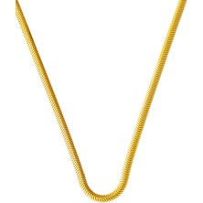 Bilezikci Ünisex Balıksırtı 14 Ayar Altın Zincir Kolye 45cm.