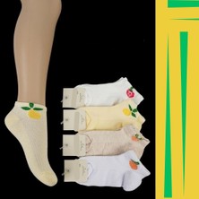 Meyve Temalı Renkli Kız Çocuk Çorap Modeli