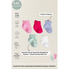 Poffibabyorganik Pamuk Unisex 5'li Kutulu Premium Yenidoğan Bebek Çorabı