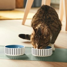 2 Adet Mama Kabı Çap: 11 cm Ikea 2'li Set Kedi Köpek Yemek Su Kabı Desenli Kap Stoneware