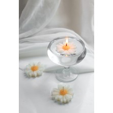 Mumbi 3`lüset Suda Yüzen Papatya Mum | Tealight | Düğün, Nişan, Nikah, Kına,  Mum