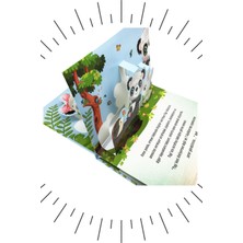 3 Boyutlu Kitap Panda Pagi 3D Kitap