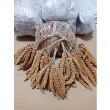 Kızıl Dal Darı Doğal 500 gr