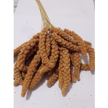 Kızıl Dal Darı Doğal 1000 gr