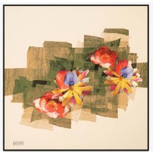 Aker Sport Tivil Eşarp 7125-911