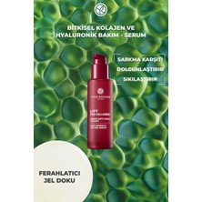 Yves Rocher Dolgunlaştırıcı Serum-Sıkılaştırıcı, Dolgunlaştırıcı Bitkisel Kolajen ve Hyaluronik Bakım/ Lift Pro COLLAGENE-41019