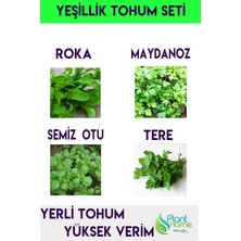Yeşillik Tohumu 4'lü Avantaj Seti - Maydanoz - Roka - Tere- Semiz Otu Yerli Tohum Seti