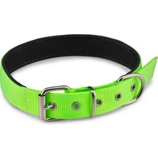 Zirve Tasma Köpek Tasması 60 cm