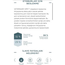  Senıor Large & Medıum Dog Food 12KG