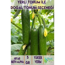 5 Gram Hıyar Beith Alpha Salatalık Tohumu - Yerli Ürün - Verimli ve Lezzetli