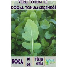 10 gr Roka Tohumu – Taze ve Aromatik Yeşillikler Için Yüksek Verimli Tohumlar