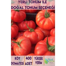 Yerli Köy Domatesi Tohumu - Yüksek Verimli Köy Domatesi 400 Adet