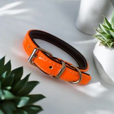Zirve Tasma 40 cm Deri Köpek Tasması
