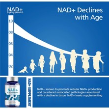 Vıvalıfer Nad+ Supplement 1500 Mg - 120 Capsules High Purity Nad+ & Resveratrol - Tmg - Usa
