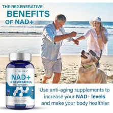 Vıvalıfer Nad+ Supplement 1500 Mg - 120 Capsules High Purity Nad+ & Resveratrol - Tmg - Usa