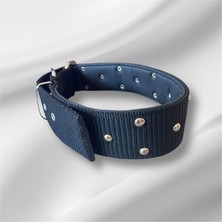 Collarium 77 cm Köpek Tasması