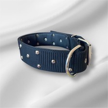 Collarium 77 cm Köpek Tasması