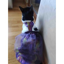 Mor tüllü Kedi Kıyafeti