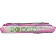 Mop Wipes Yüzey Temizlik Paketi 40 Yaprak