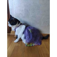 Mor tüllü lastikli Kedi Kıyafeti