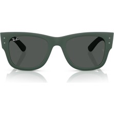 Güneş Gözlüğü Rayban RB4840S 66578752
