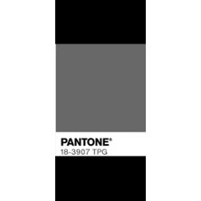 enSarüx 85 cm 1 Adet Parlak Gümüş Diş 5 No Metal Separe Fermuar Renk No: Pantone Tpg 18 - 3907