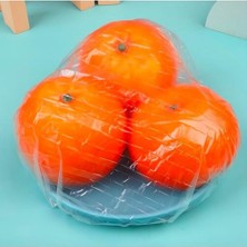 Lastikli Tencere ve Tabak Bonesi 100 Adet (24CM)