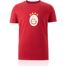 Gs Store Galatasaray Erkek T-Shirt E241111