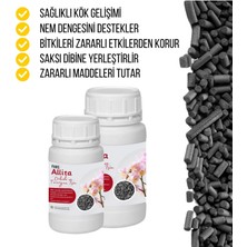 Allita Orkide ve Teraryum Için Dip Minerali 100 gr