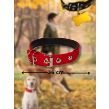 Patili Avm Kırmızı Renkli Ayarlanabilir Küçük Köpek Boyunluk Tasma