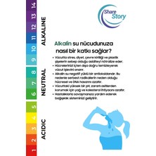 Water Maybach Ph Alkalin Su Arıtma Filtresi – Mineral Takviyeli, Ph Dengeleyici