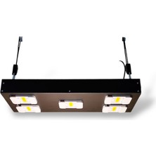 Fullbright 5000 Plus Quantum Cob Bitki Yetiştirme LAMBASI(500W)