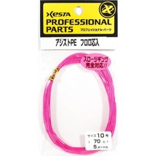Xesta Professional Parts Assist Ipi