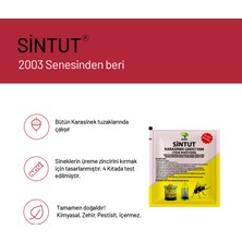 Sintut 12 Adet 25 gr Sintut Karasinek Çekici Yem