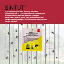 Sintut 12 Adet 25 gr Sintut Karasinek Çekici Yem