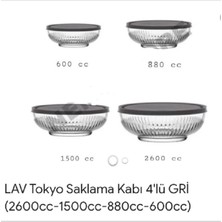 Feyzade Tokyo Saklama Kabı 4'Lü Set 2600 Cc 1500 Cc- 880 Cc-600 Cc