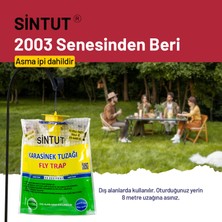 Sintut 2 Adet Sintut Medium | Karasinek Tuzağı